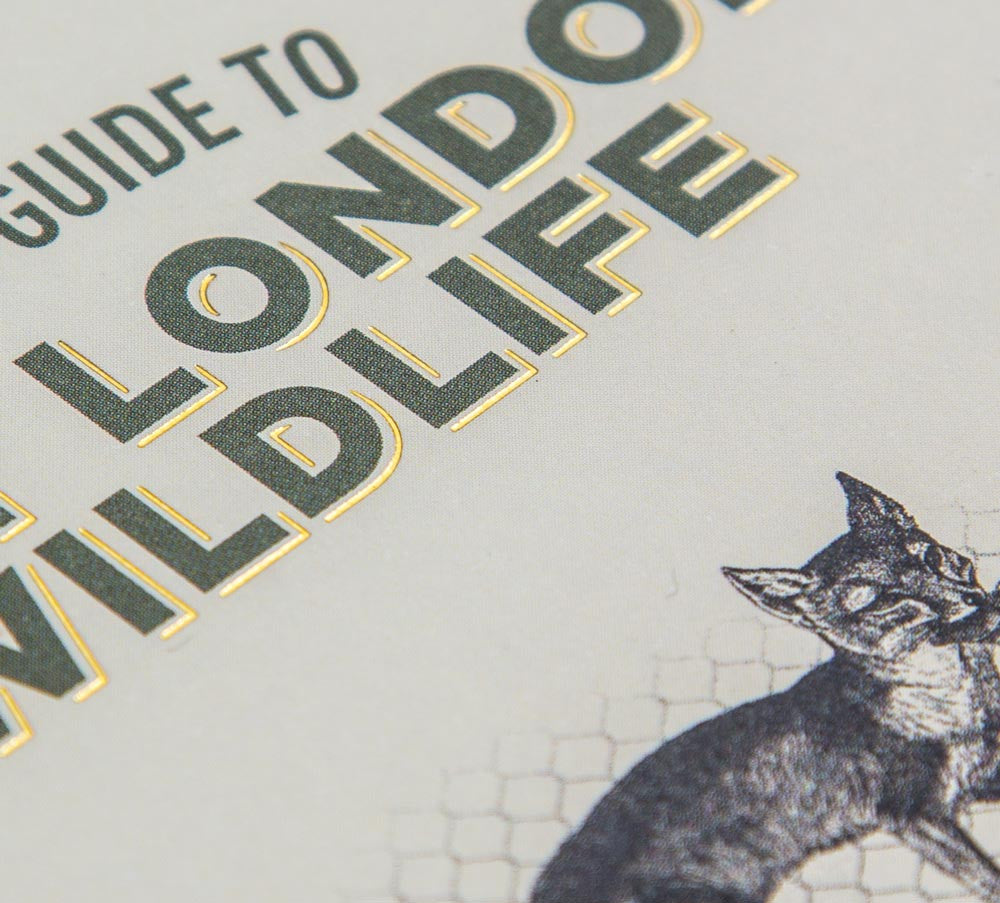 Field Guide to East London Wildlife