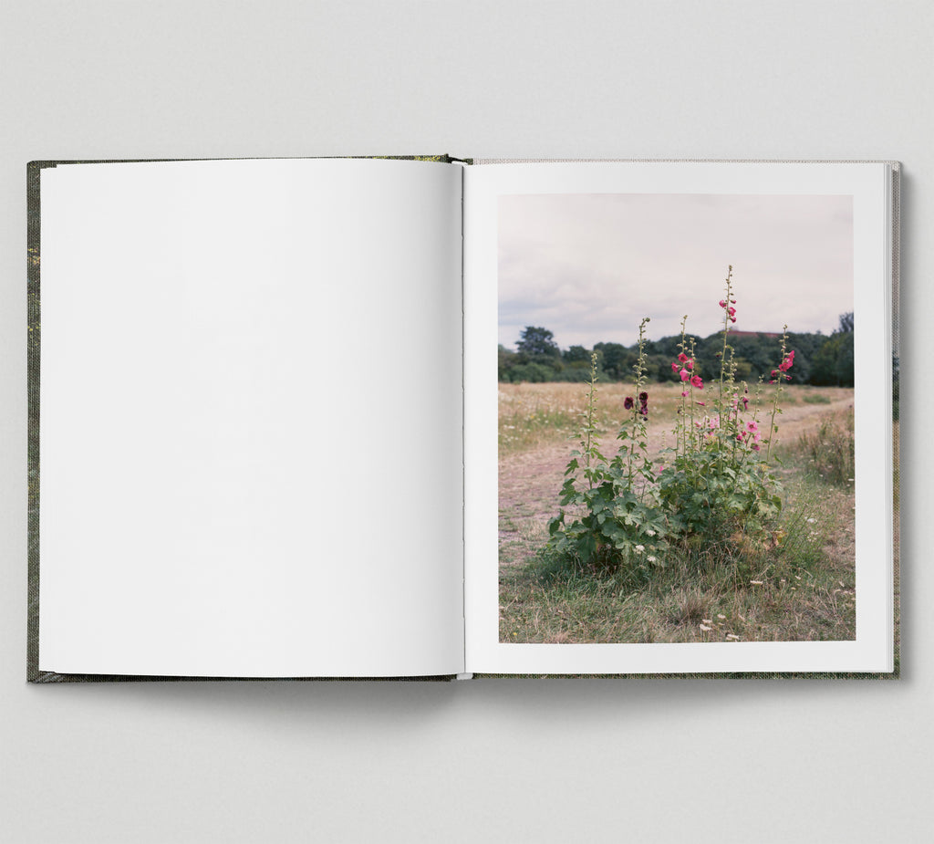 Limited edition print (D) + book: 'The Hackney Marshes'