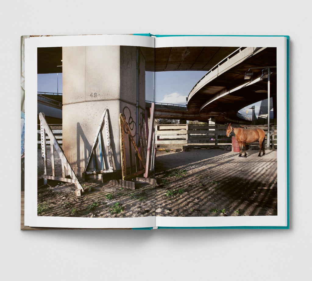 Collector's Edition + Print: Urban Gypsies