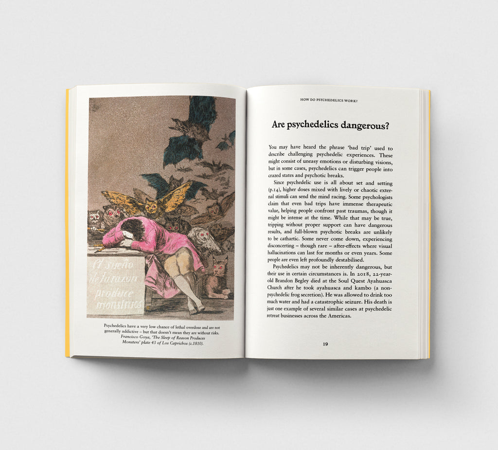 Psychedelics, A Pocket Primer