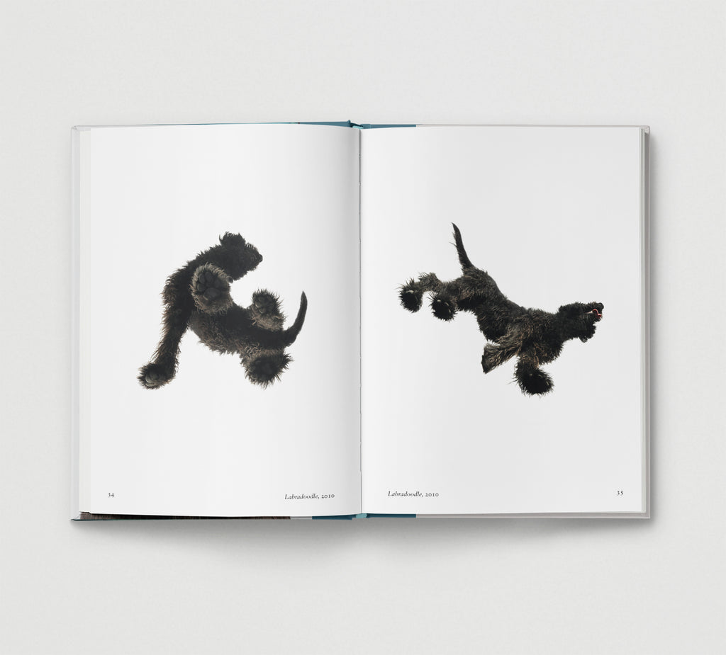 PRE-ORDER: Dog.