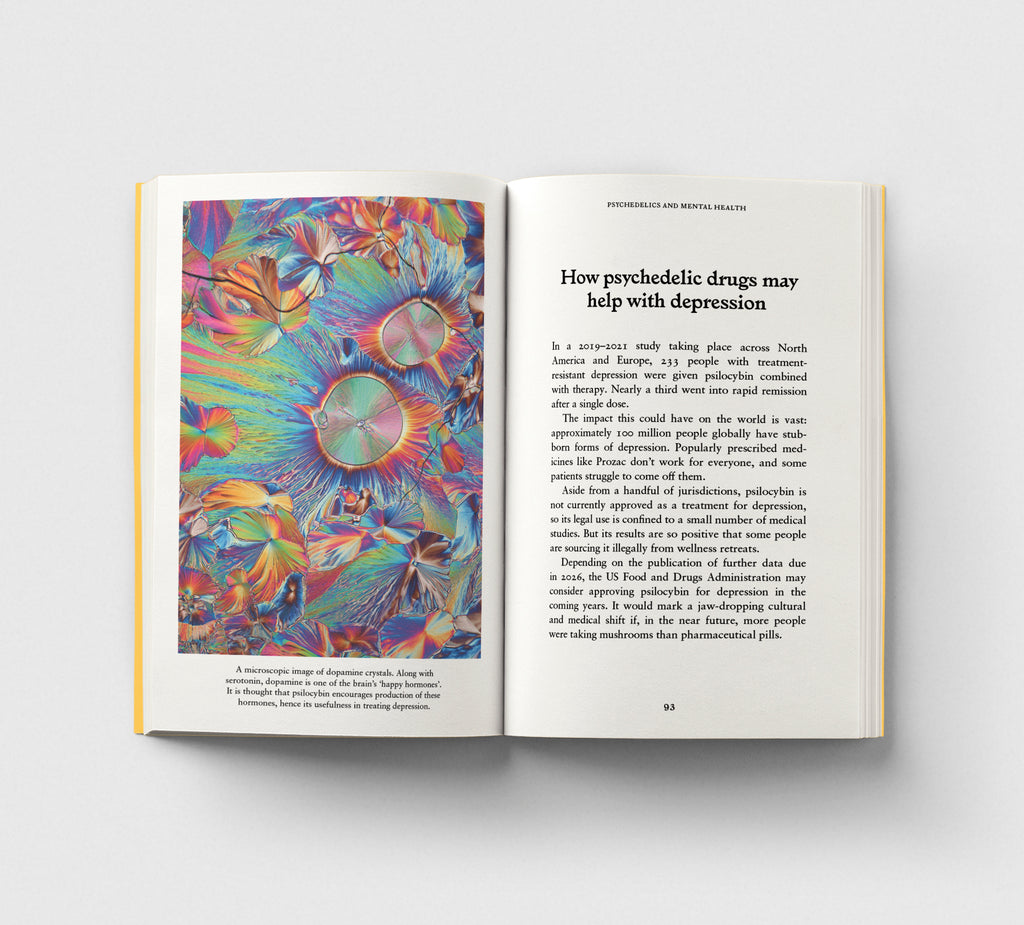 Psychedelics, A Pocket Primer