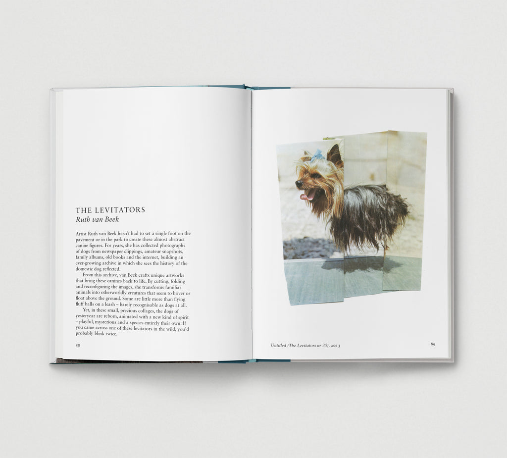 PRE-ORDER: Dog.