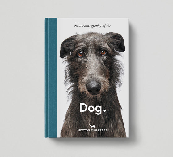 PRE-ORDER: Dog.