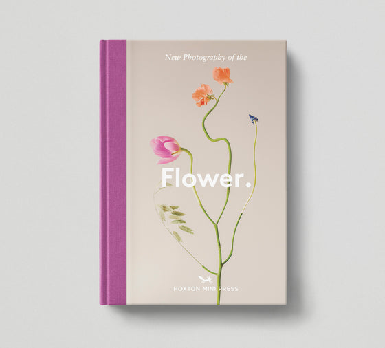 Flower.