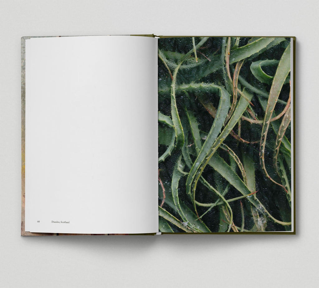 Collector's Edition + Print: Botanical