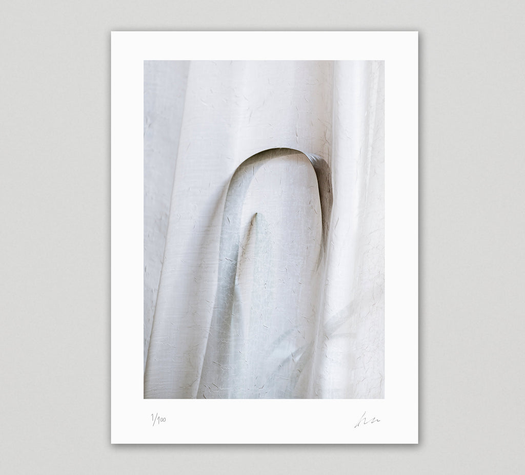 Collector's Edition + Print: Botanical