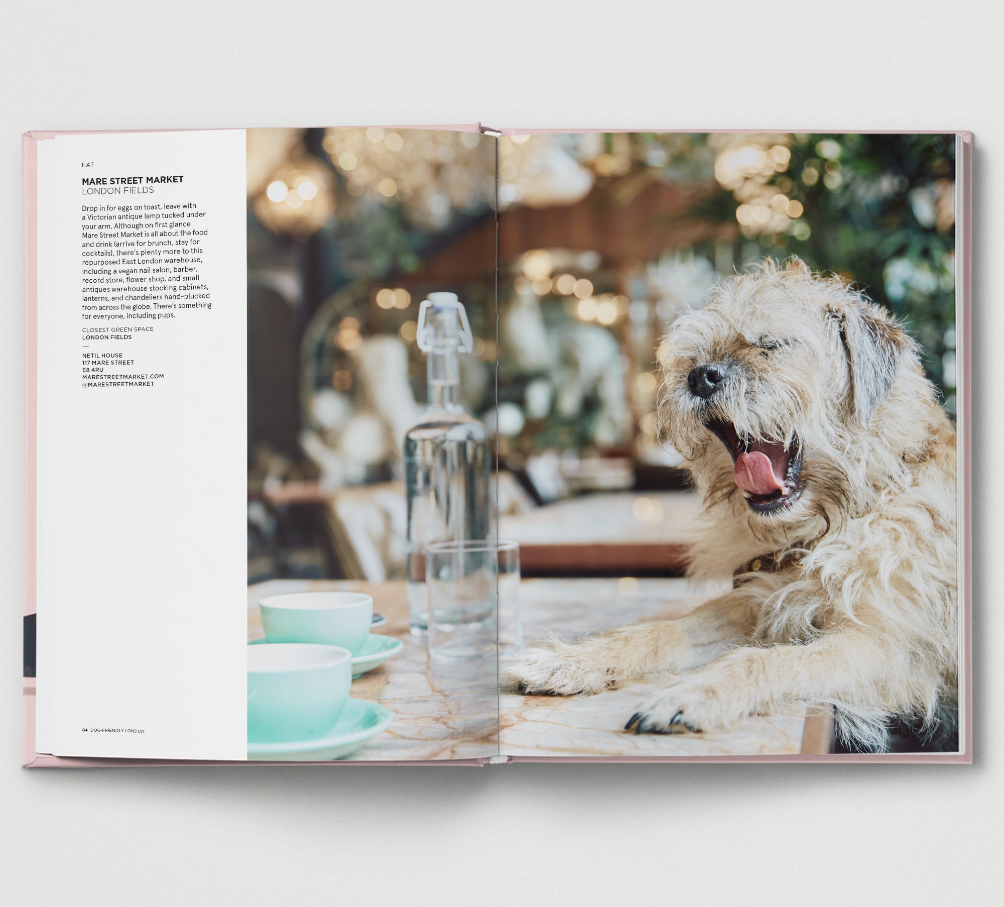 London Dog Friendly Places To Go Near Me Dog-Friendly London