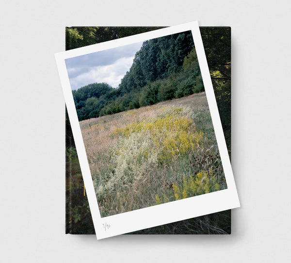 Limited edition print (A) + book: 'The Hackney Marshes'