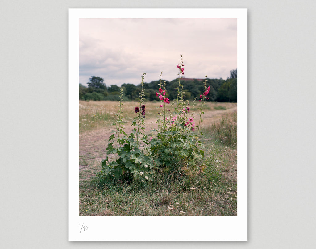Limited edition print (B) + book: 'The Hackney Marshes'