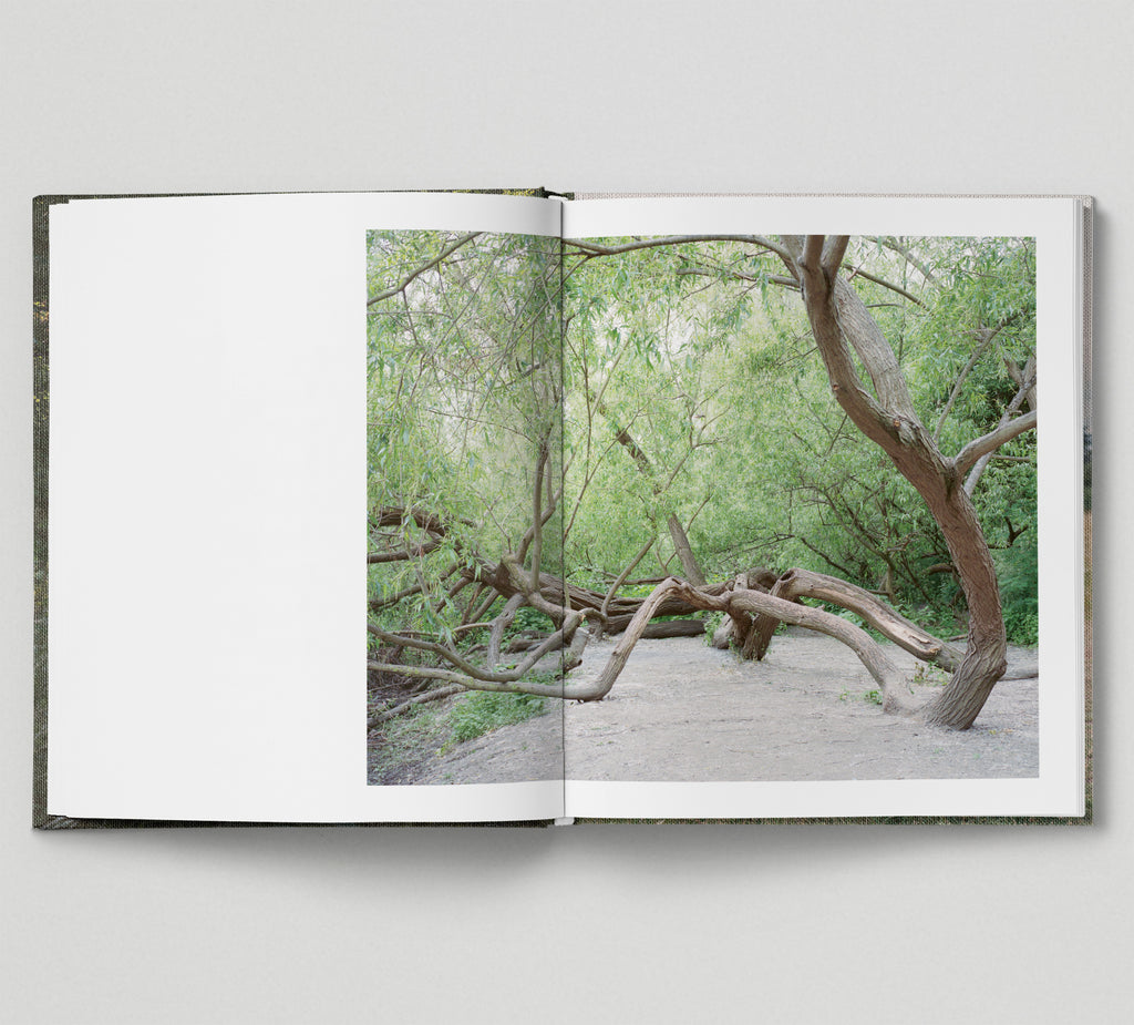 Limited edition print (C) + book: 'The Hackney Marshes'